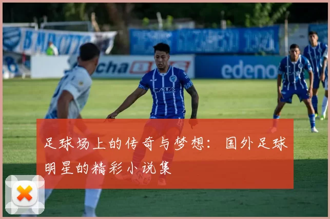 足球场上的传奇与梦想：国外足球明星的精彩小说集
