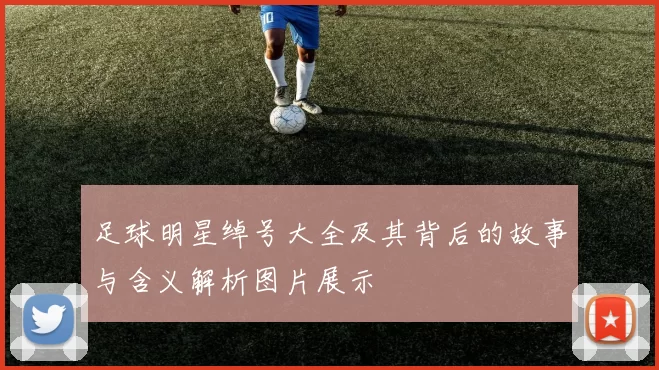 足球明星绰号大全及其背后的故事与含义解析图片展示