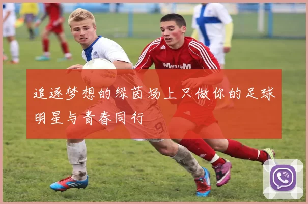 追逐梦想的绿茵场上只做你的足球明星与青春同行