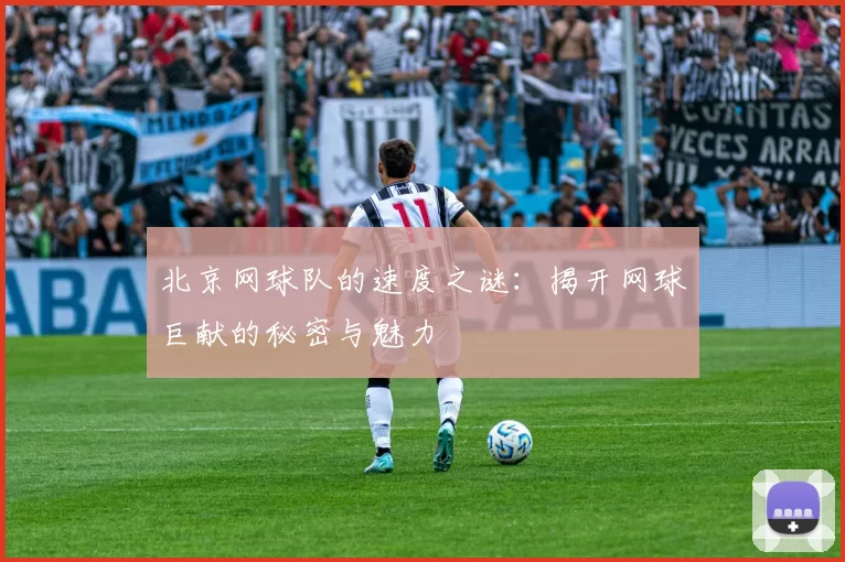 北京网球队的速度之谜：揭开网球巨献的秘密与魅力