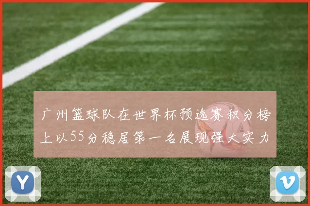 广州篮球队在世界杯预选赛积分榜上以55分稳居第一名展现强大实力