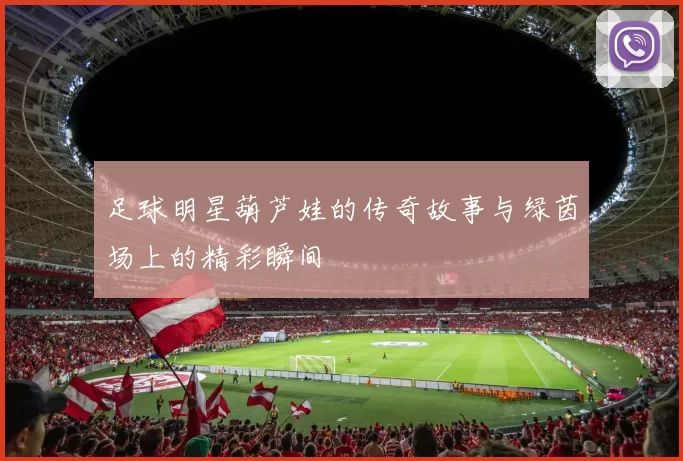 足球明星葫芦娃的传奇故事与绿茵场上的精彩瞬间
