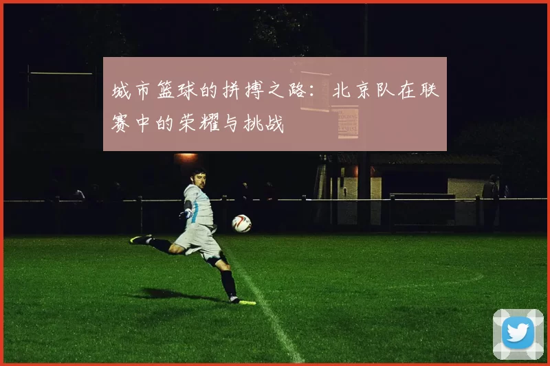 城市篮球的拼搏之路：北京队在联赛中的荣耀与挑战