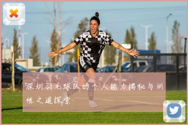 深圳羽毛球队的个人能力揭秘与训练之道探索
