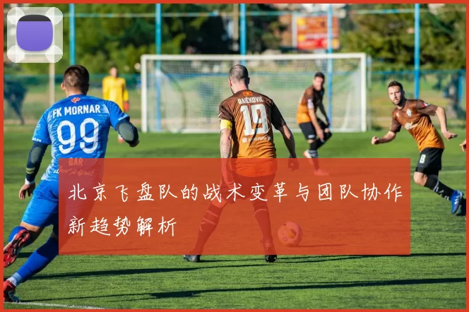 北京飞盘队的战术变革与团队协作新趋势解析