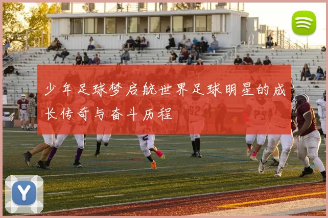 少年足球梦启航世界足球明星的成长传奇与奋斗历程