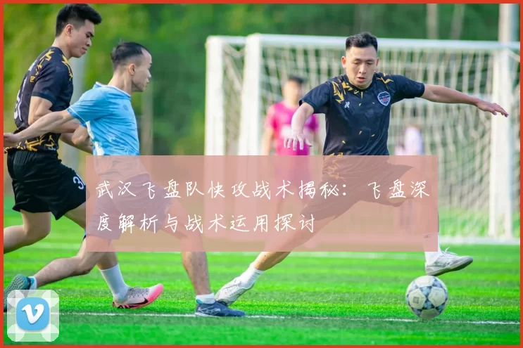武汉飞盘队快攻战术揭秘：飞盘深度解析与战术运用探讨