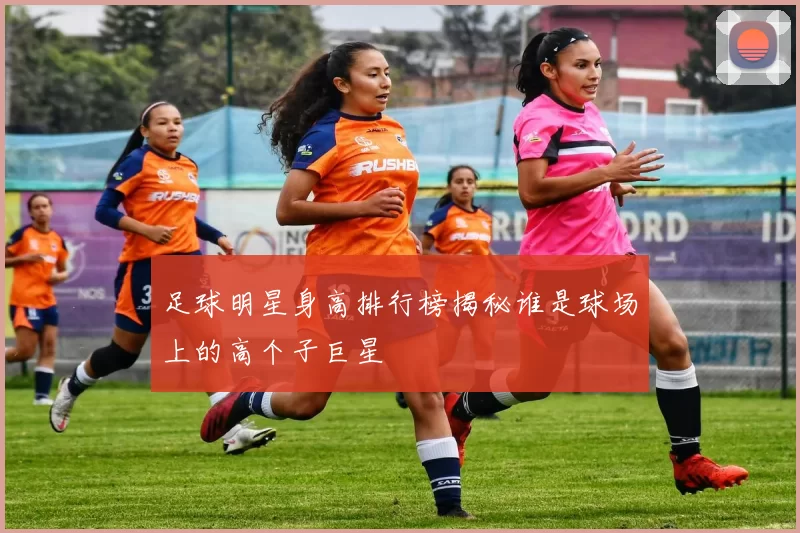 足球明星身高排行榜揭秘谁是球场上的高个子巨星