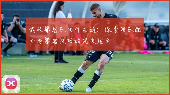 武汉攀岩队协作之道：探索团队配合与攀岩技巧的完美结合