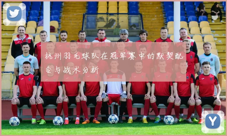 杭州羽毛球队在冠军赛中的默契配合与战术分析
