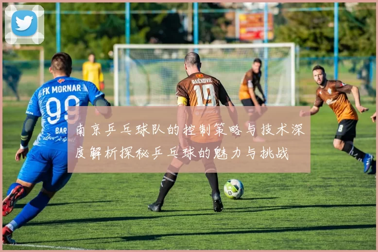 南京乒乓球队的控制策略与技术深度解析探秘乒乓球的魅力与挑战