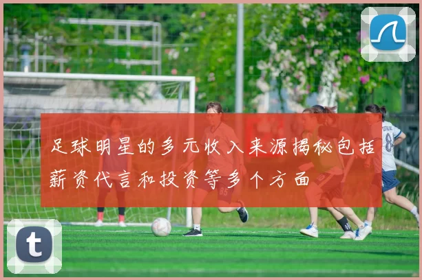 足球明星的多元收入来源揭秘包括薪资代言和投资等多个方面