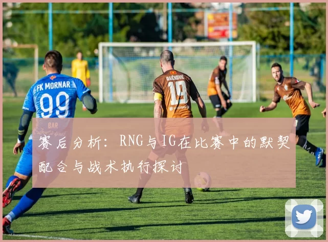 赛后分析：RNG与IG在比赛中的默契配合与战术执行探讨