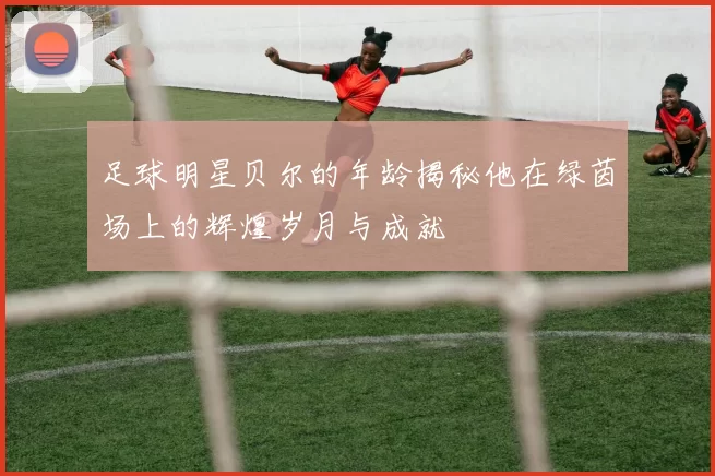 足球明星贝尔的年龄揭秘他在绿茵场上的辉煌岁月与成就