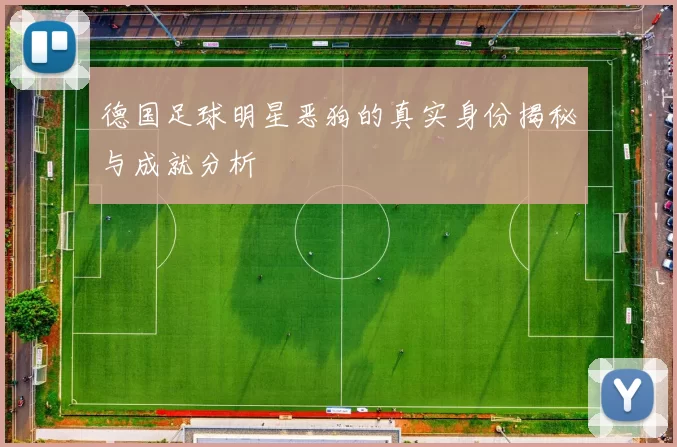 德国足球明星恶狗的真实身份揭秘与成就分析