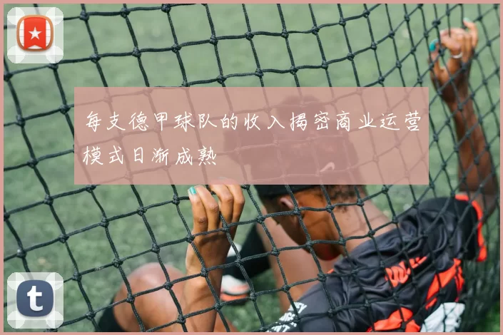 每支德甲球队的收入揭密商业运营模式日渐成熟