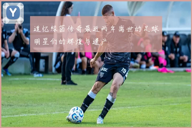 追忆绿茵传奇最近两年离世的足球明星们的辉煌与遗产