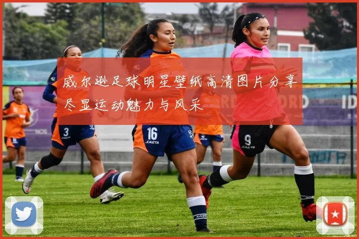 威尔逊足球明星壁纸高清图片分享尽显运动魅力与风采