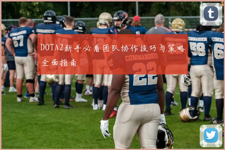 DOTA2新手必看团队协作技巧与策略全面指南