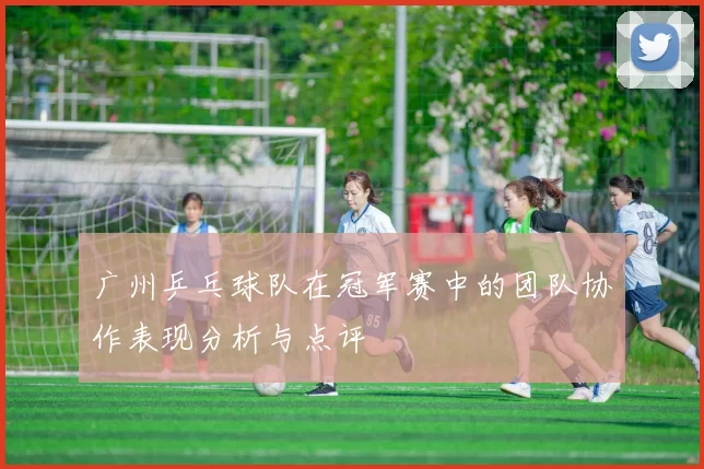 广州乒乓球队在冠军赛中的团队协作表现分析与点评