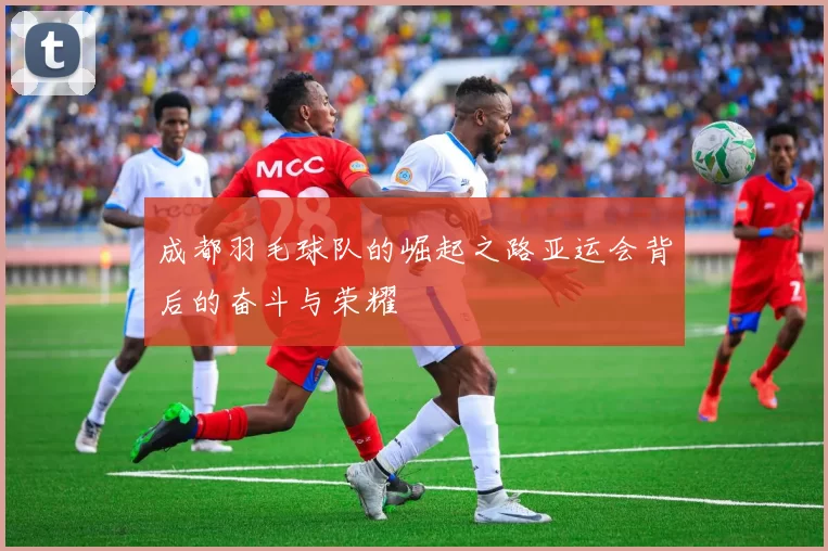 成都羽毛球队的崛起之路亚运会背后的奋斗与荣耀