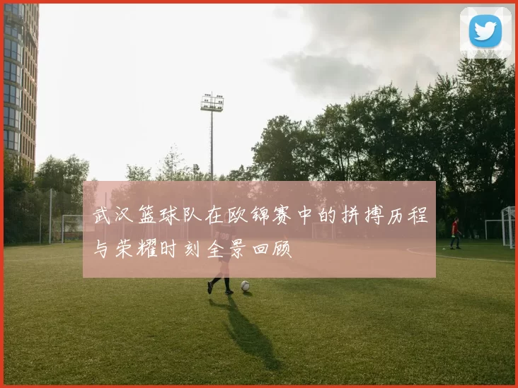 武汉篮球队在欧锦赛中的拼搏历程与荣耀时刻全景回顾