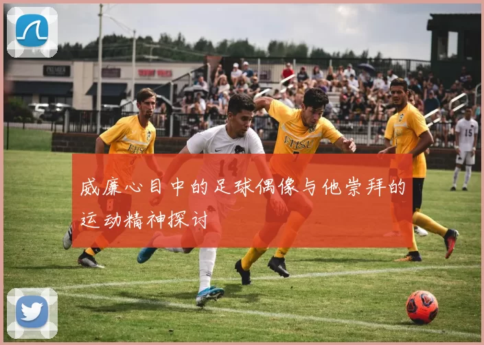 威廉心目中的足球偶像与他崇拜的运动精神探讨