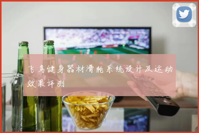 飞鸟健身器材滑轮系统设计及运动效果评测