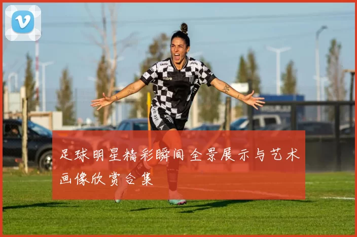 足球明星精彩瞬间全景展示与艺术画像欣赏合集