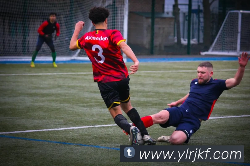 体育数据展示